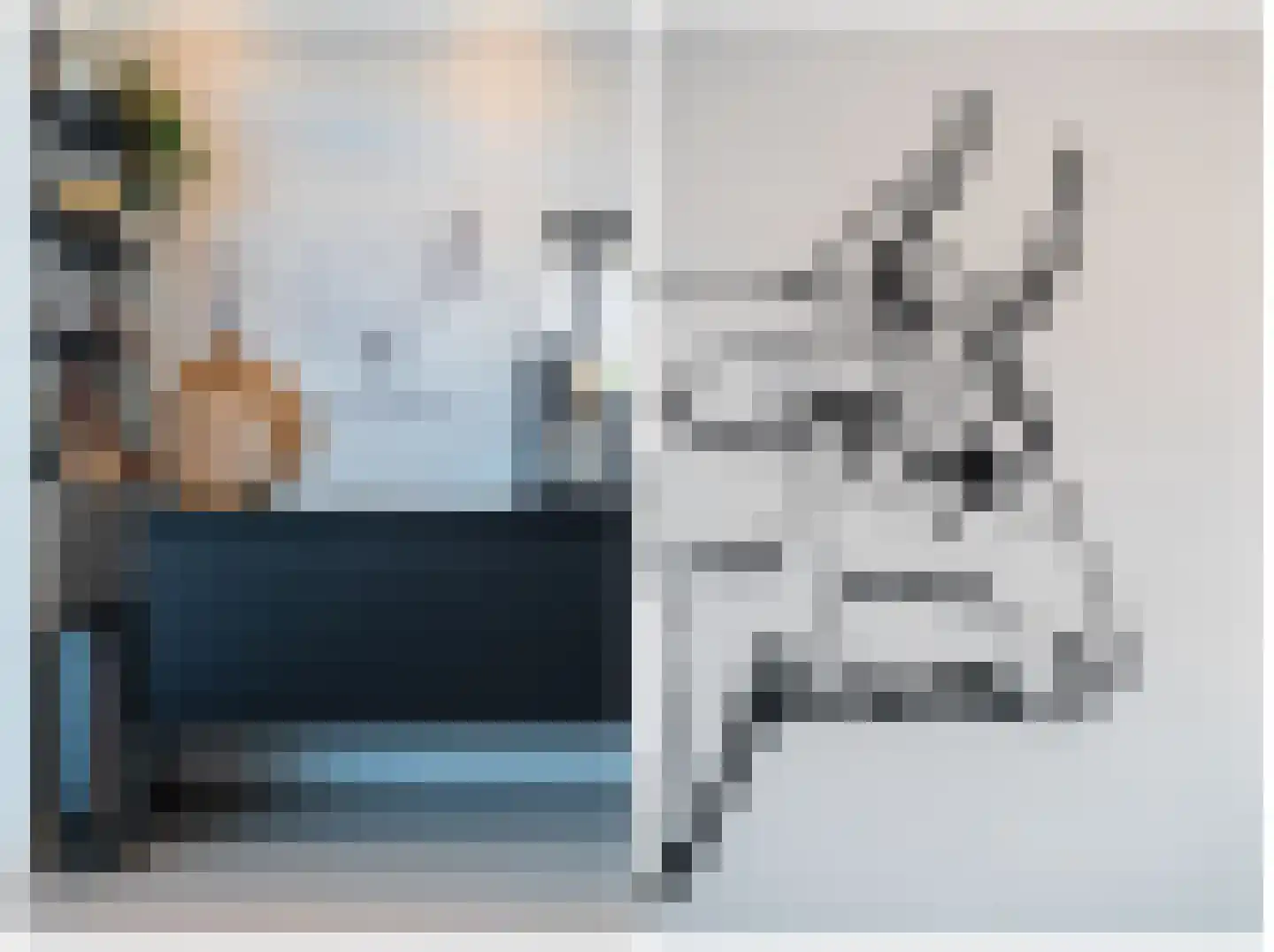 Vasalislaan 96 Groningen thumbnail 28