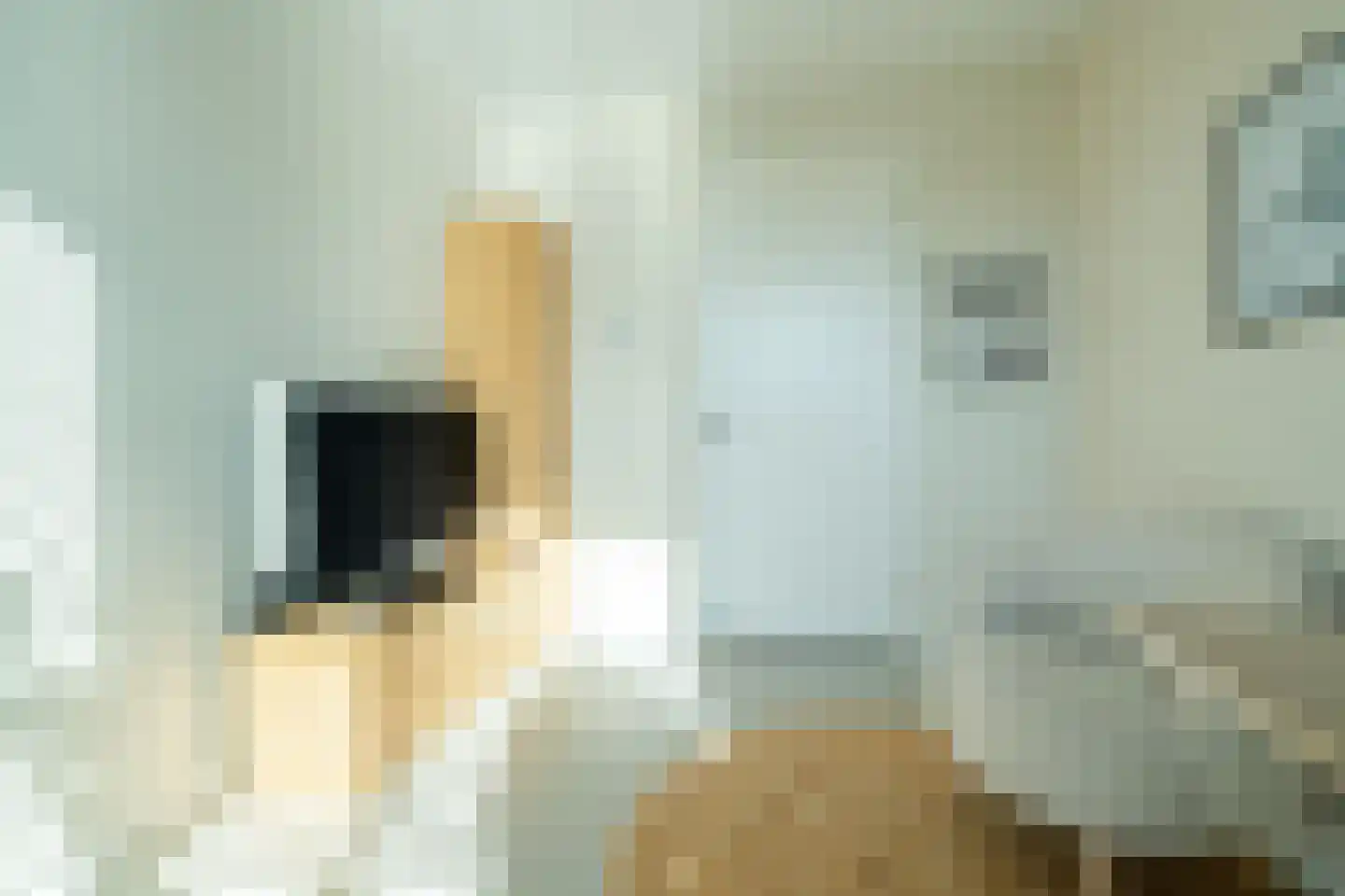 Vasalislaan 96 Groningen thumbnail 39