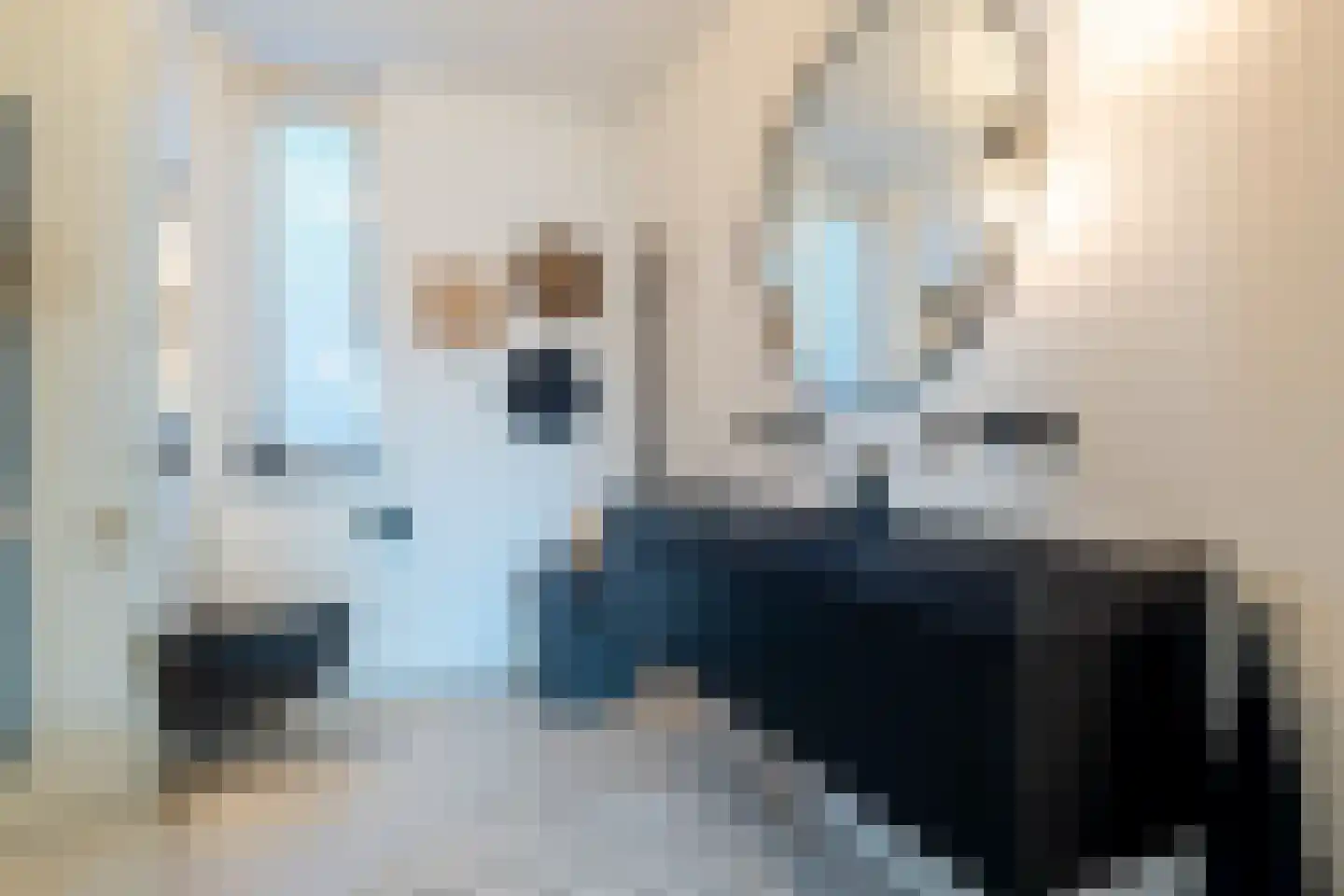 Vasalislaan 96 Groningen thumbnail 4