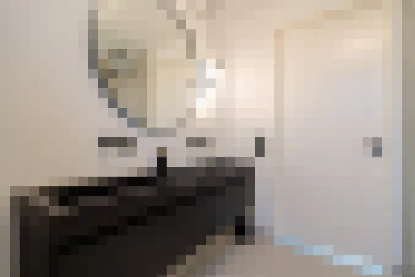 Vasalislaan 96 Groningen thumbnail 42