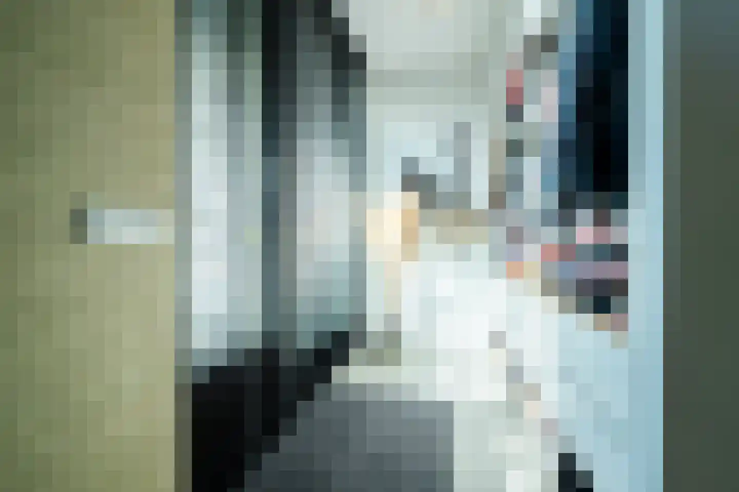 Vasalislaan 96 Groningen thumbnail 47