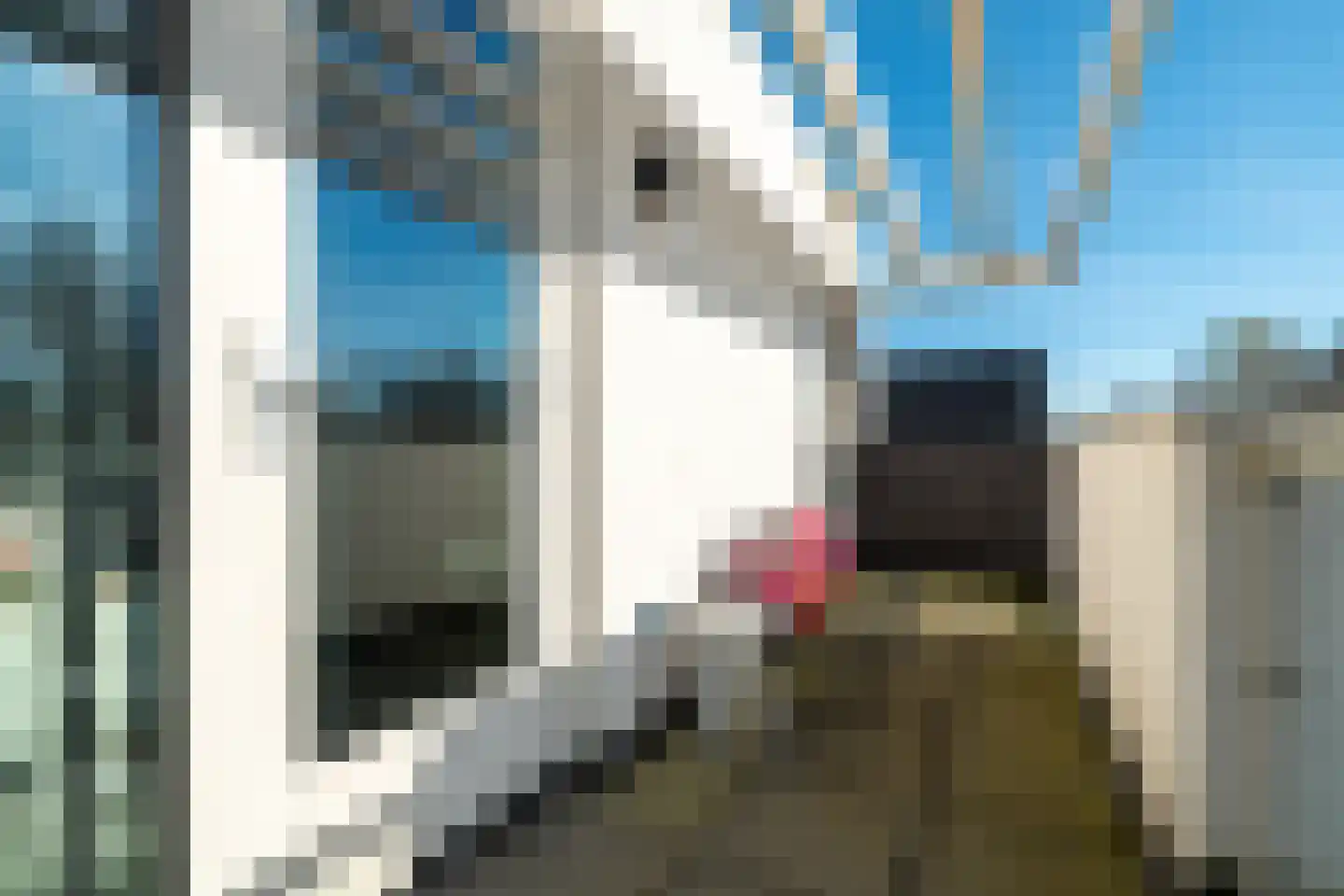 Vasalislaan 96 Groningen thumbnail 53