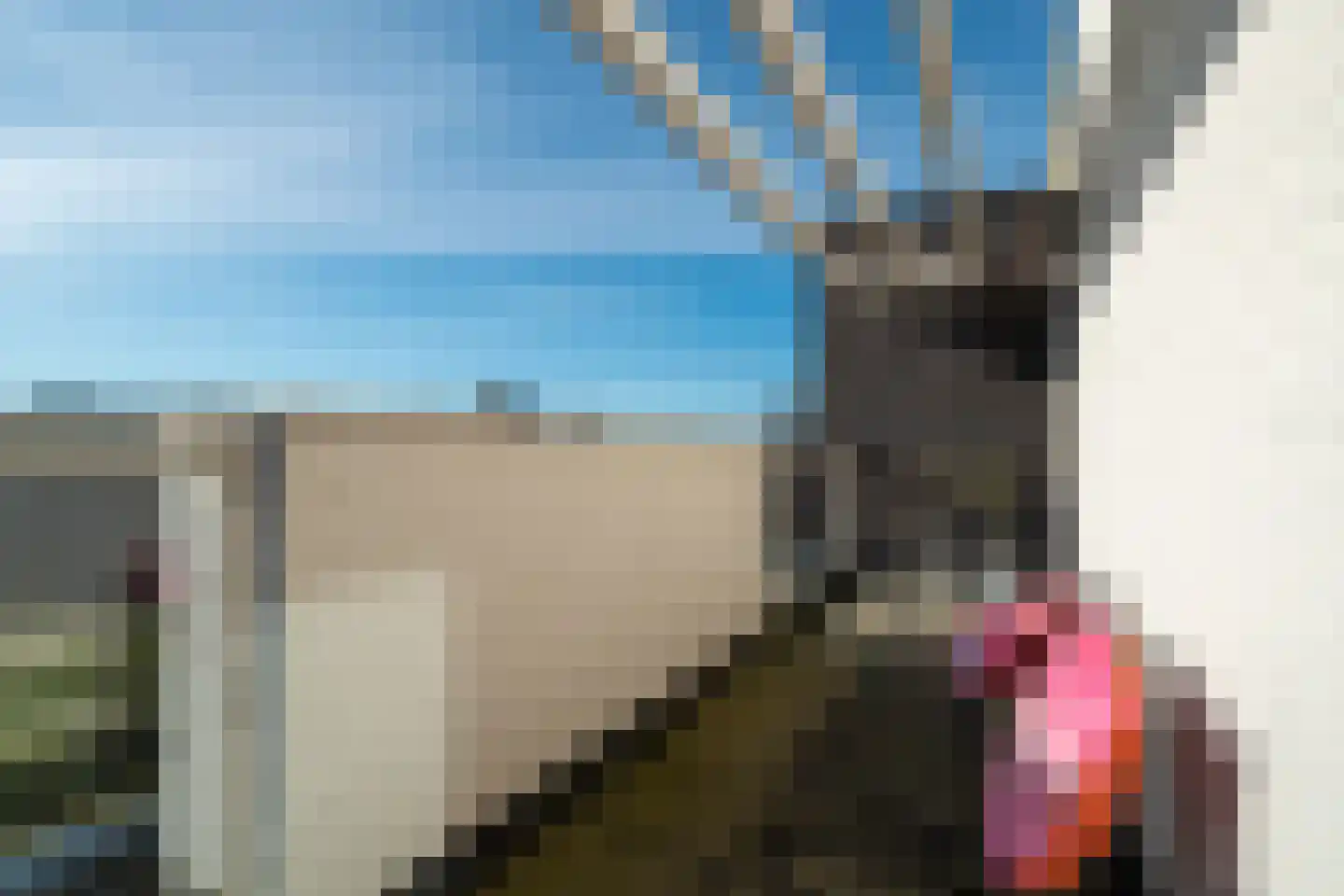 Vasalislaan 96 Groningen thumbnail 54
