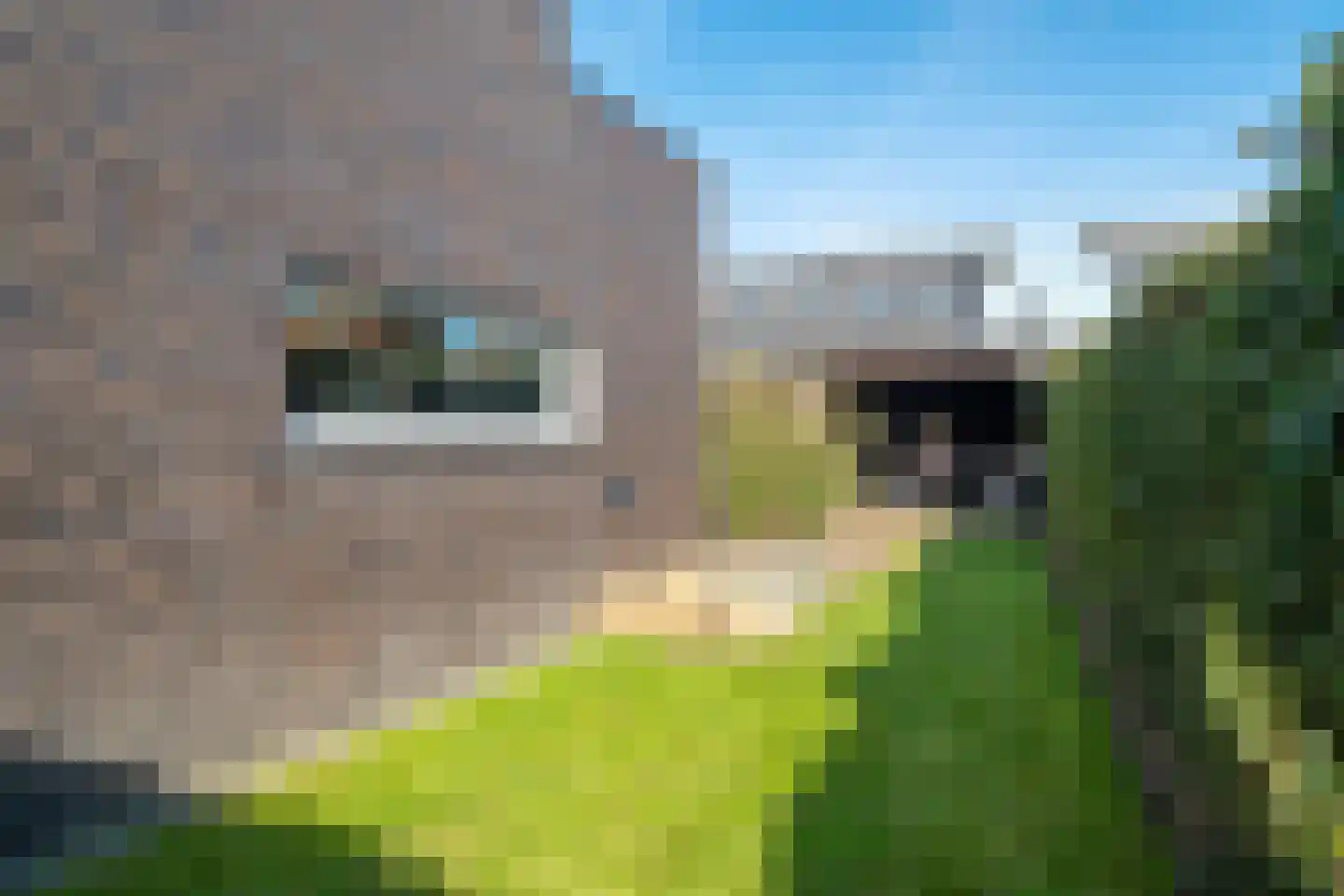 Vasalislaan 96 Groningen thumbnail 58