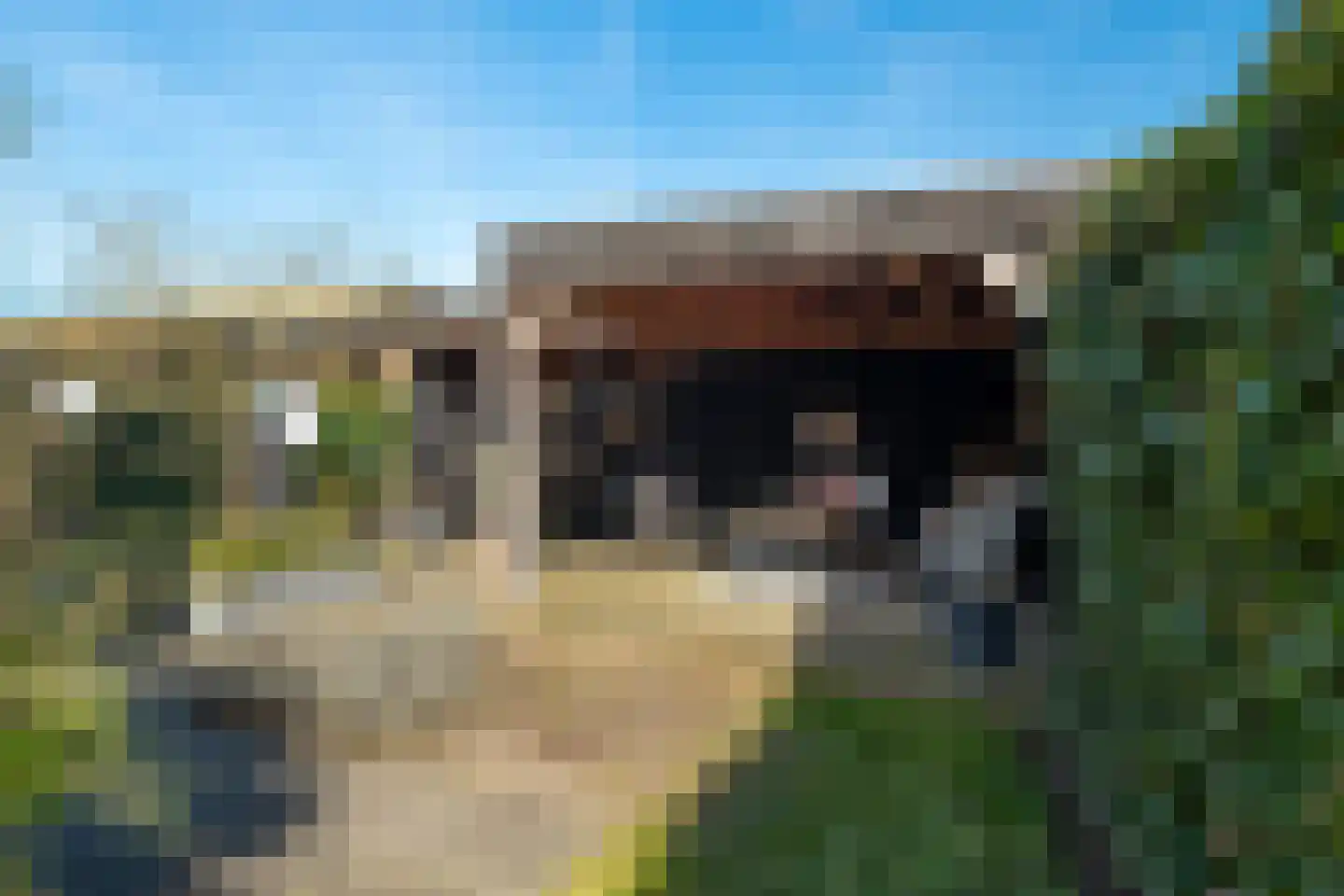 Vasalislaan 96 Groningen thumbnail 59