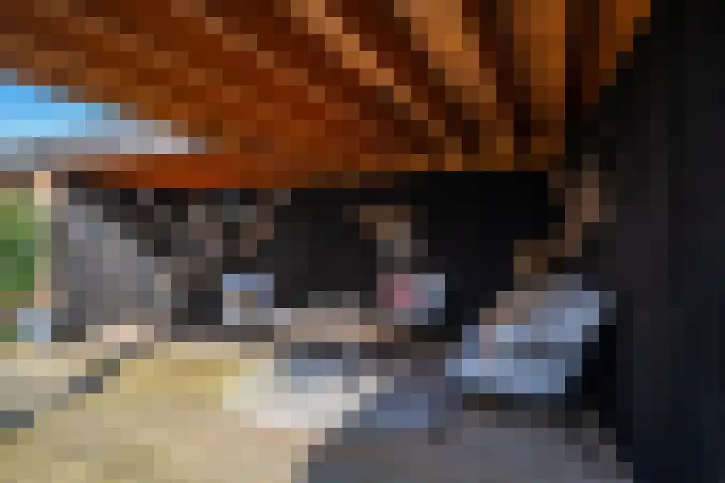 Vasalislaan 96 Groningen thumbnail 60