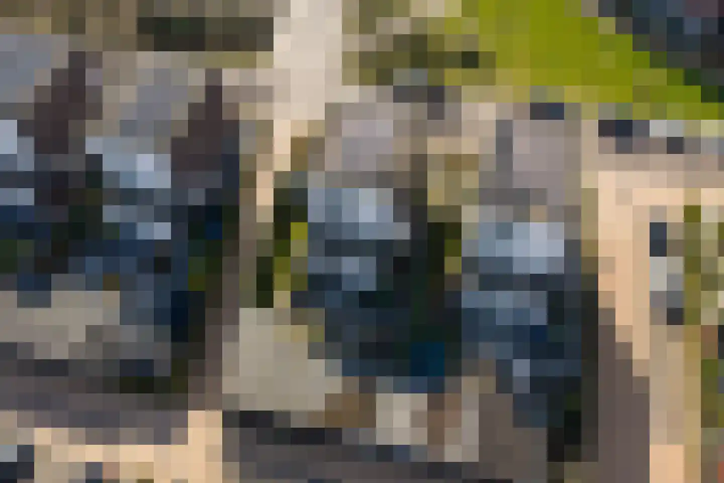 Vasalislaan 96 Groningen thumbnail 66