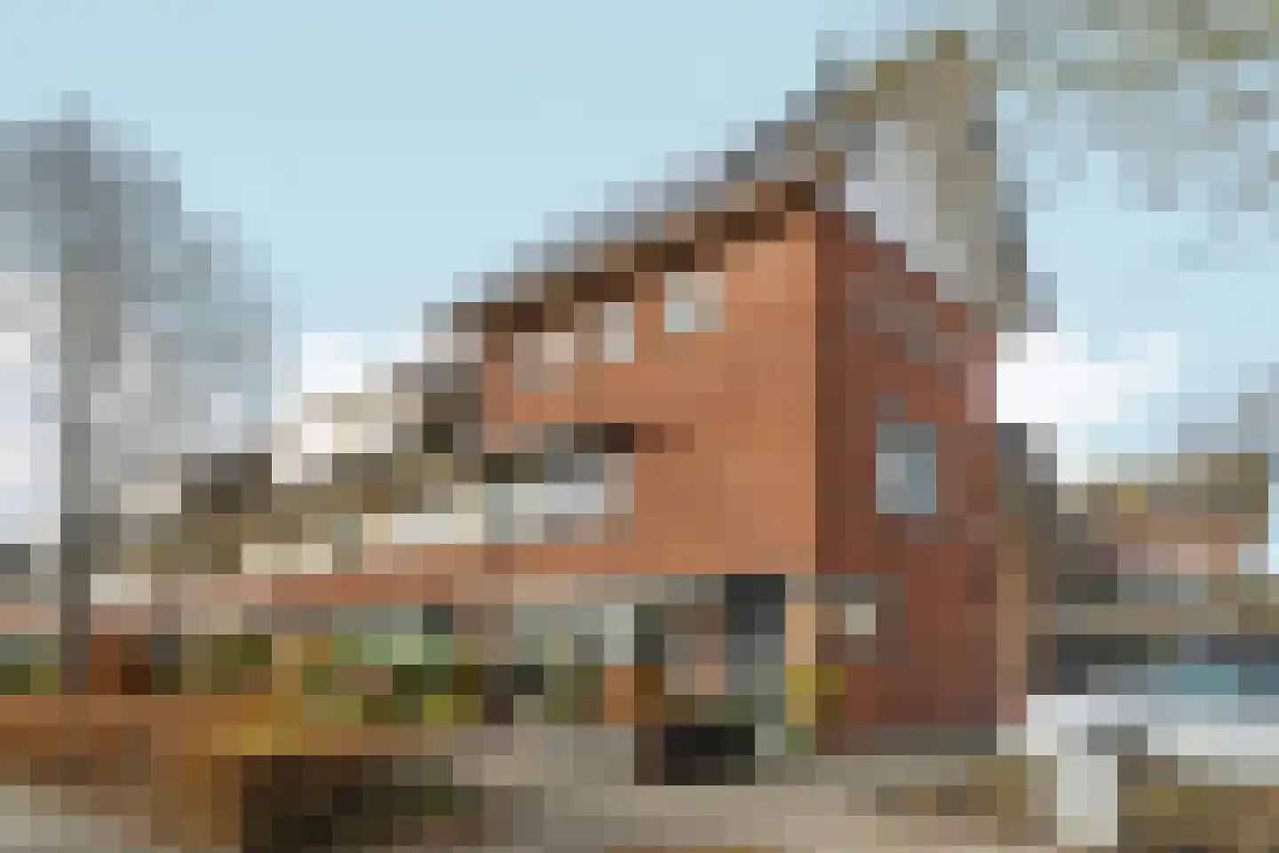 Vasalisstraat 18 Almere