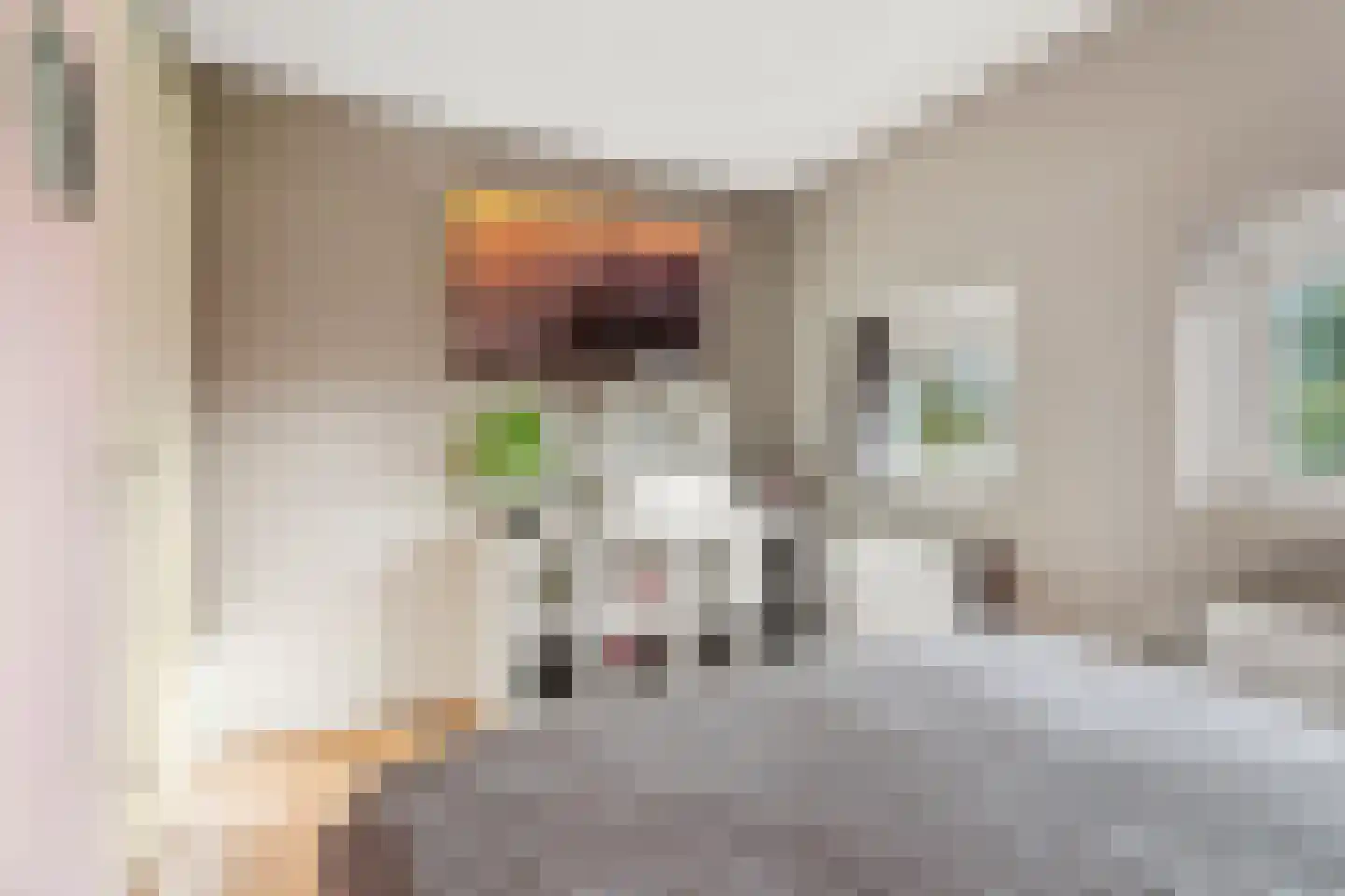 Vasalisstraat 18 Almere thumbnail 33