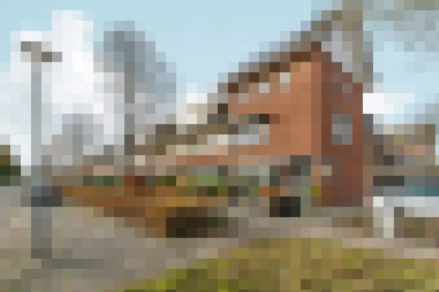 Vasalisstraat 18 Almere thumbnail 50