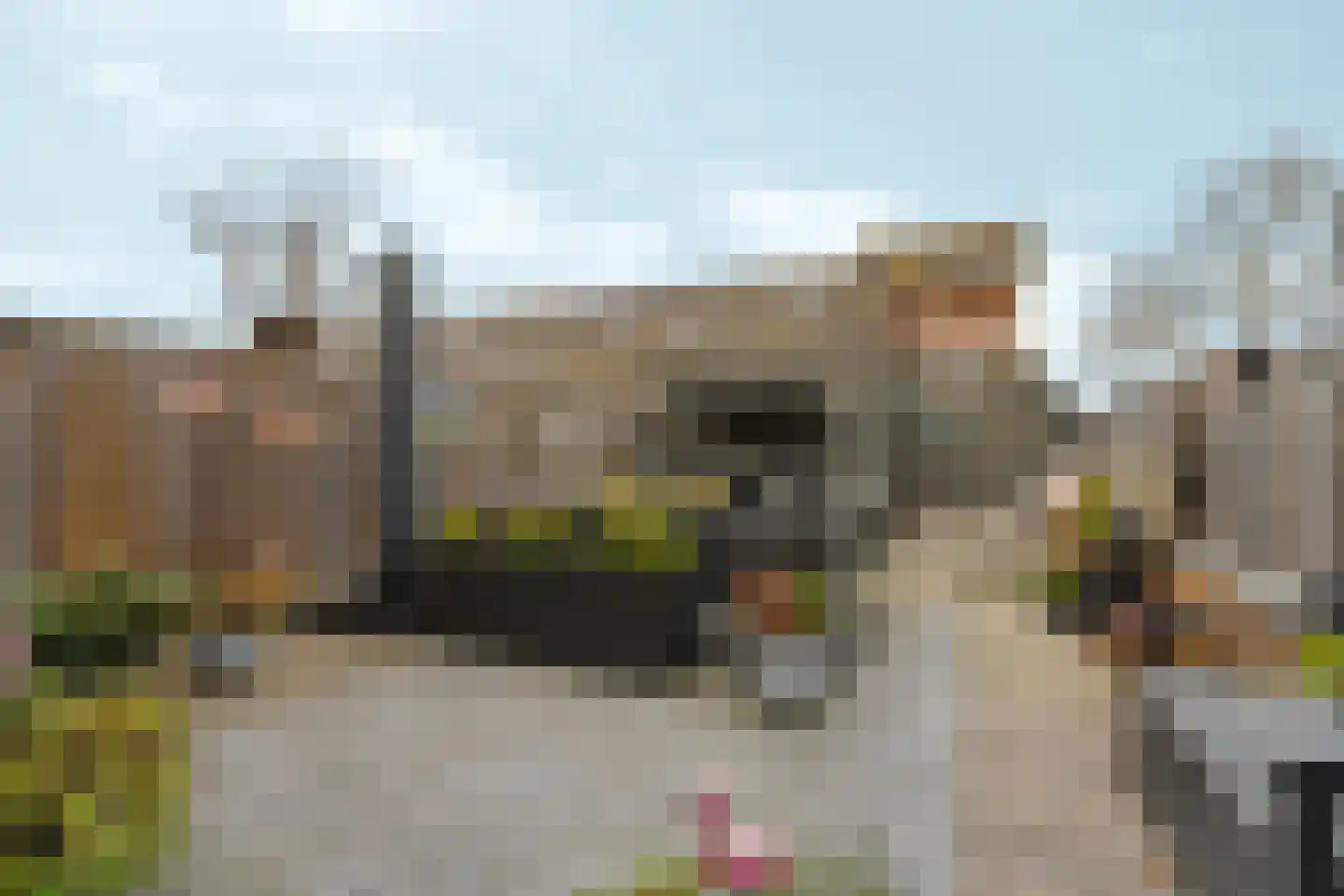 Vasalisstraat 18 Almere thumbnail 6