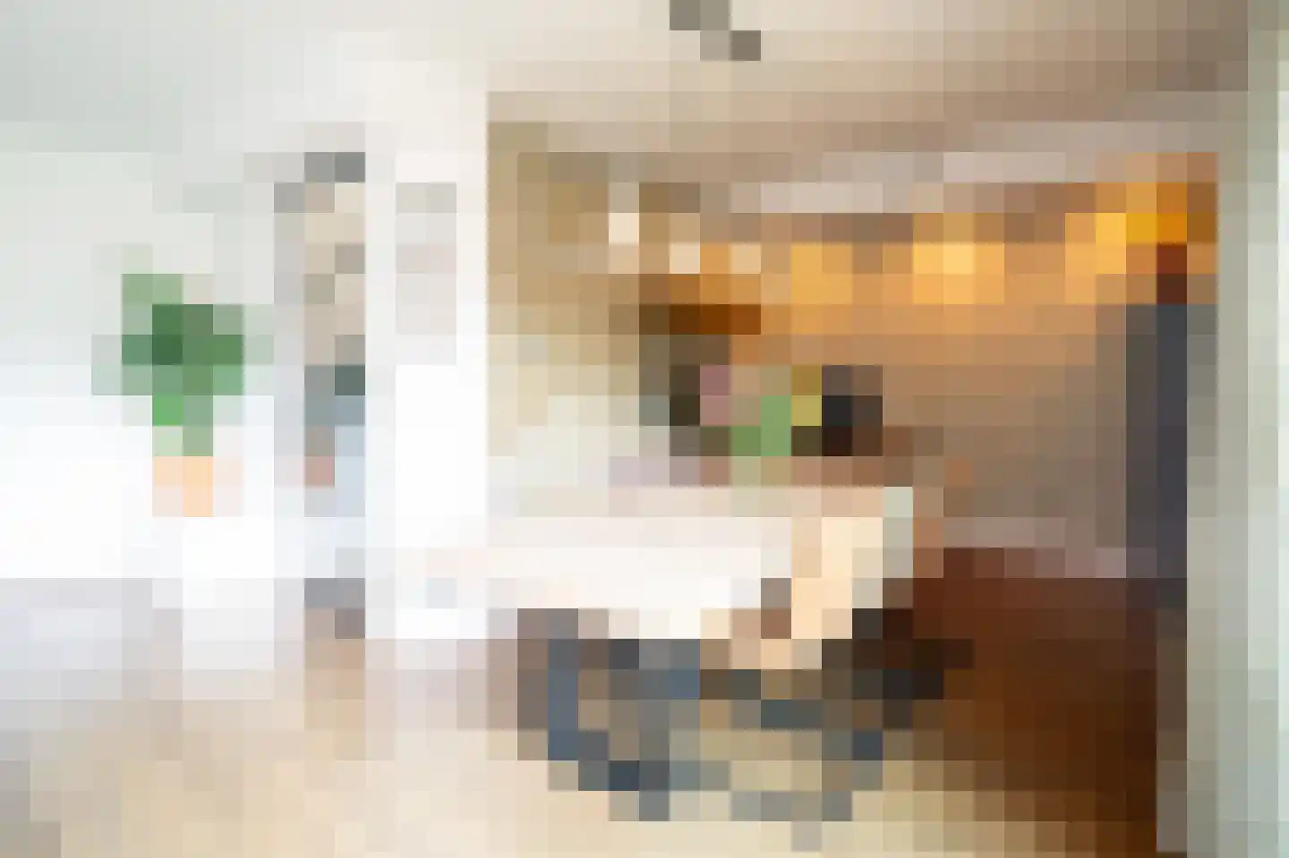 Vasalisstraat 22 Alkmaar thumbnail 10