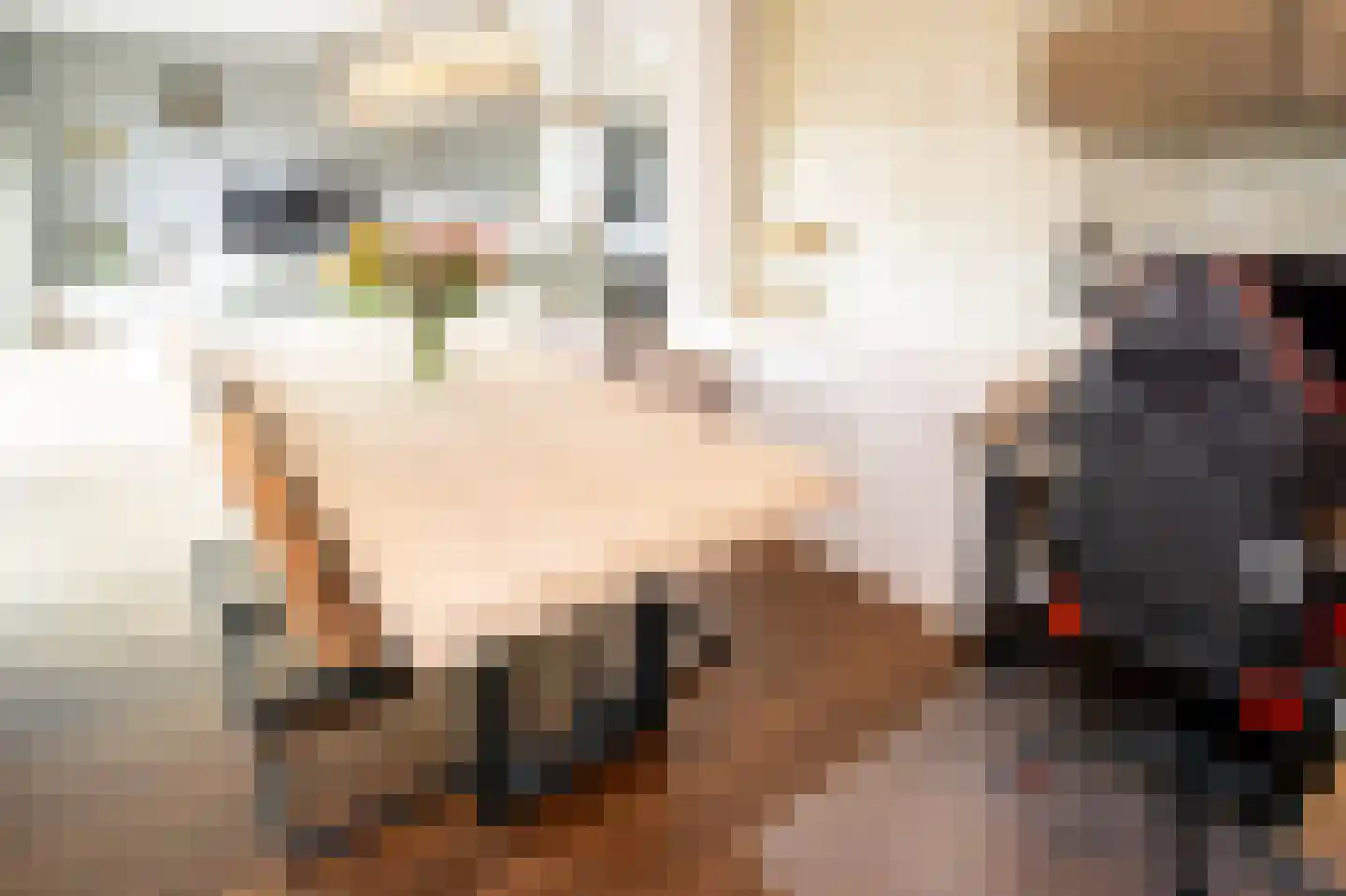 Vasalisstraat 22 Alkmaar thumbnail 13