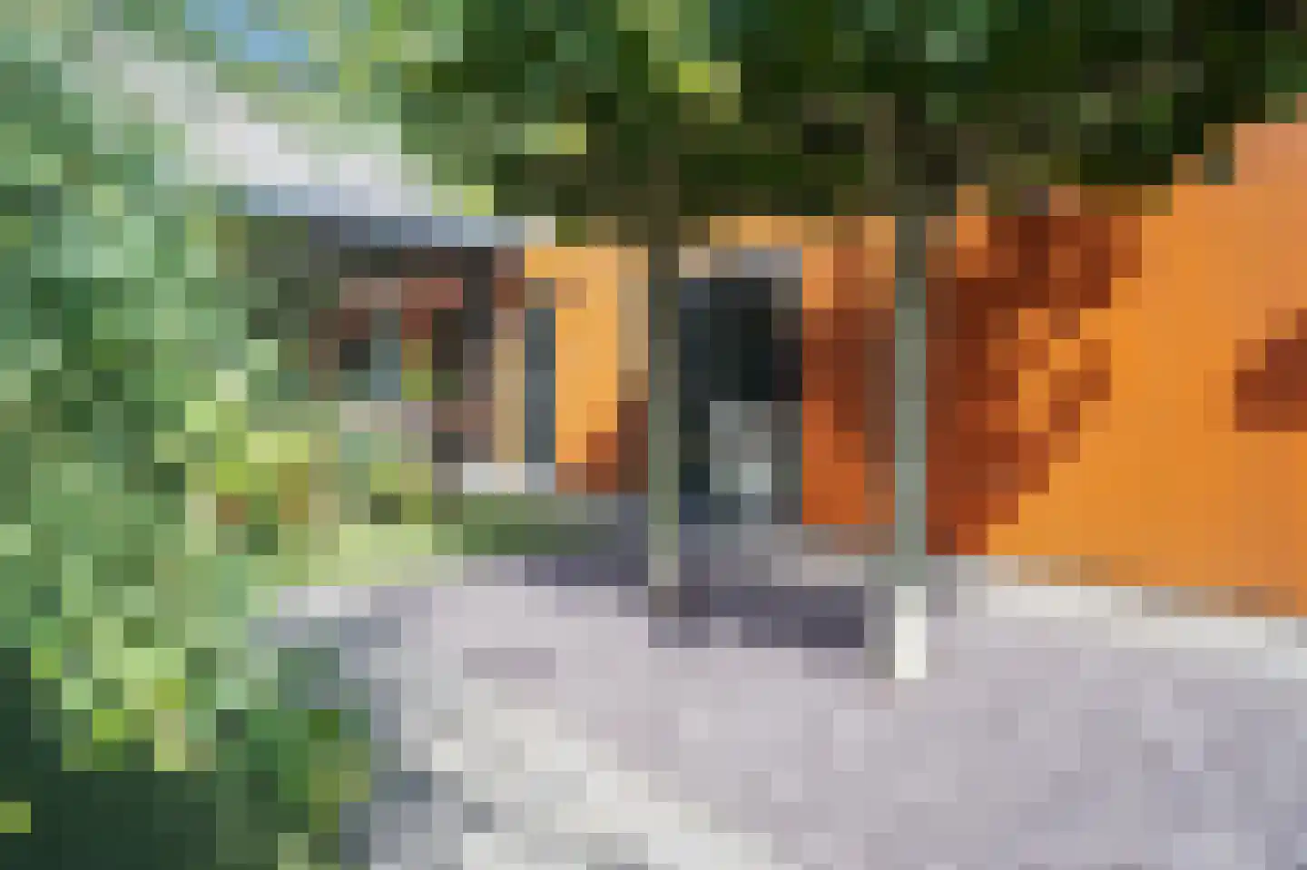 Vasalisstraat 22 Alkmaar thumbnail 35