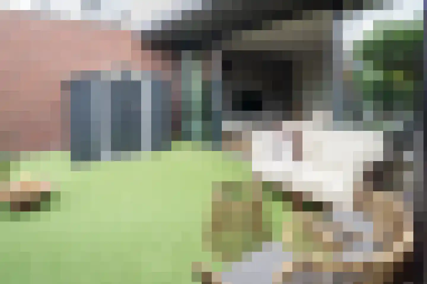 Vasalisstraat 22 Alkmaar thumbnail 41