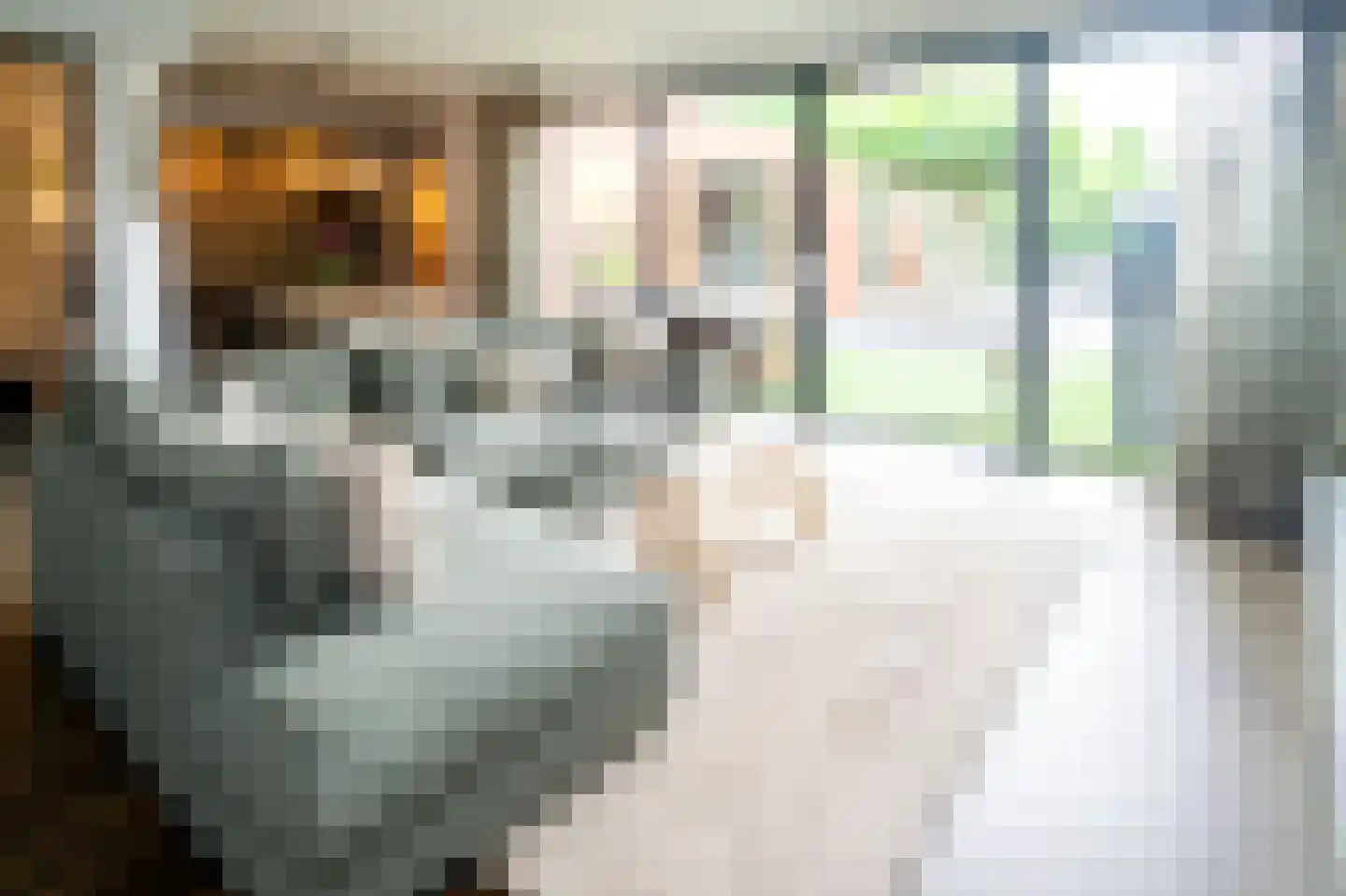 Vasalisstraat 22 Alkmaar thumbnail 5