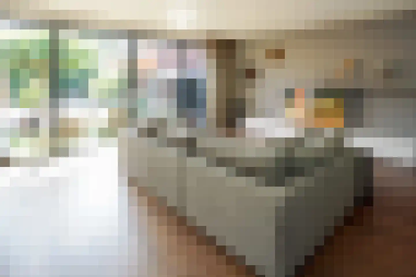 Vasalisstraat 22 Alkmaar thumbnail 6