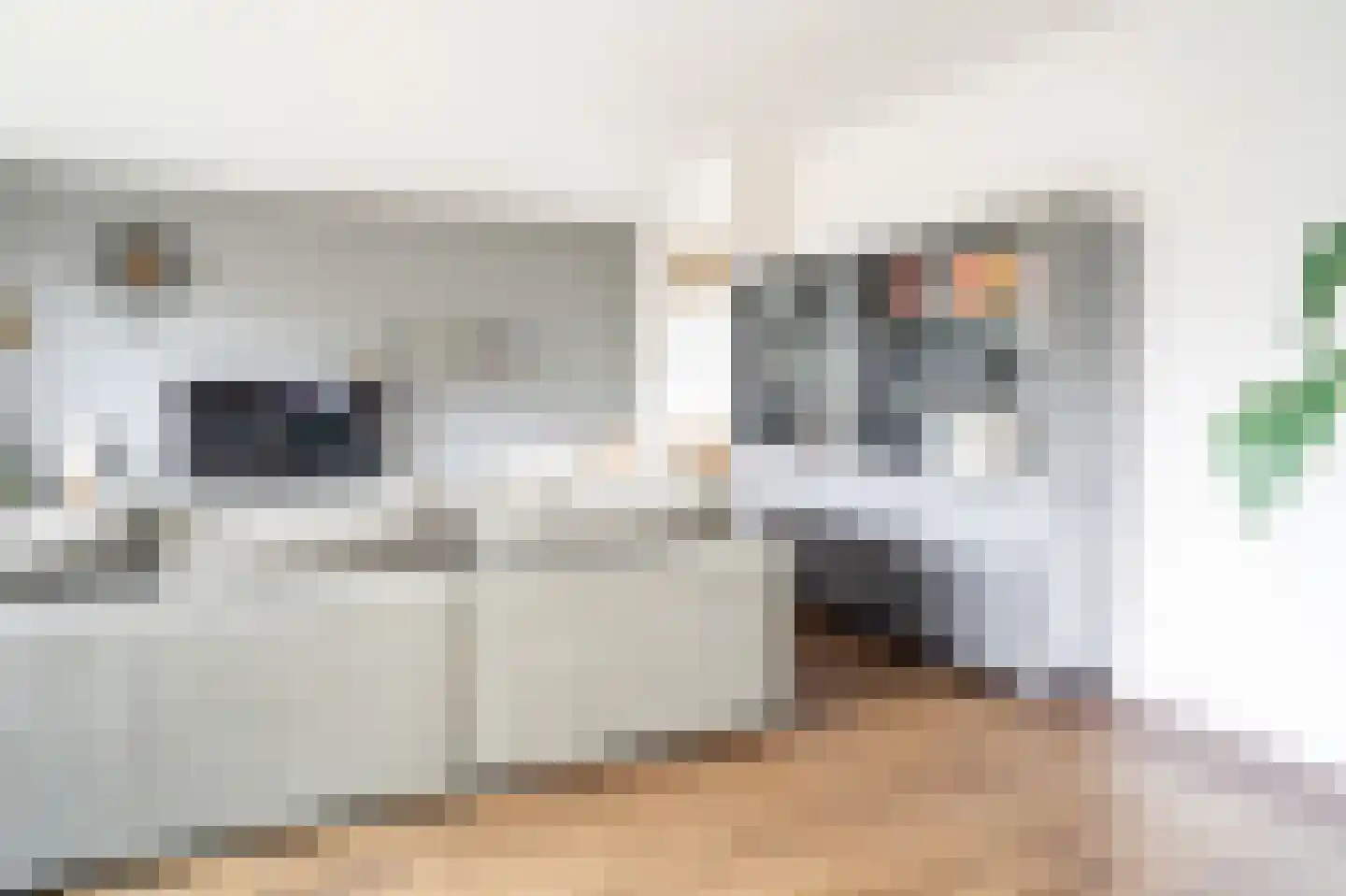 Vasalisstraat 22 Alkmaar thumbnail 6
