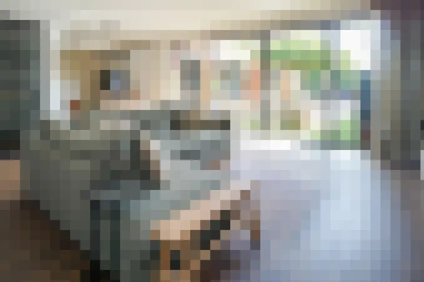 Vasalisstraat 22 Alkmaar thumbnail 8