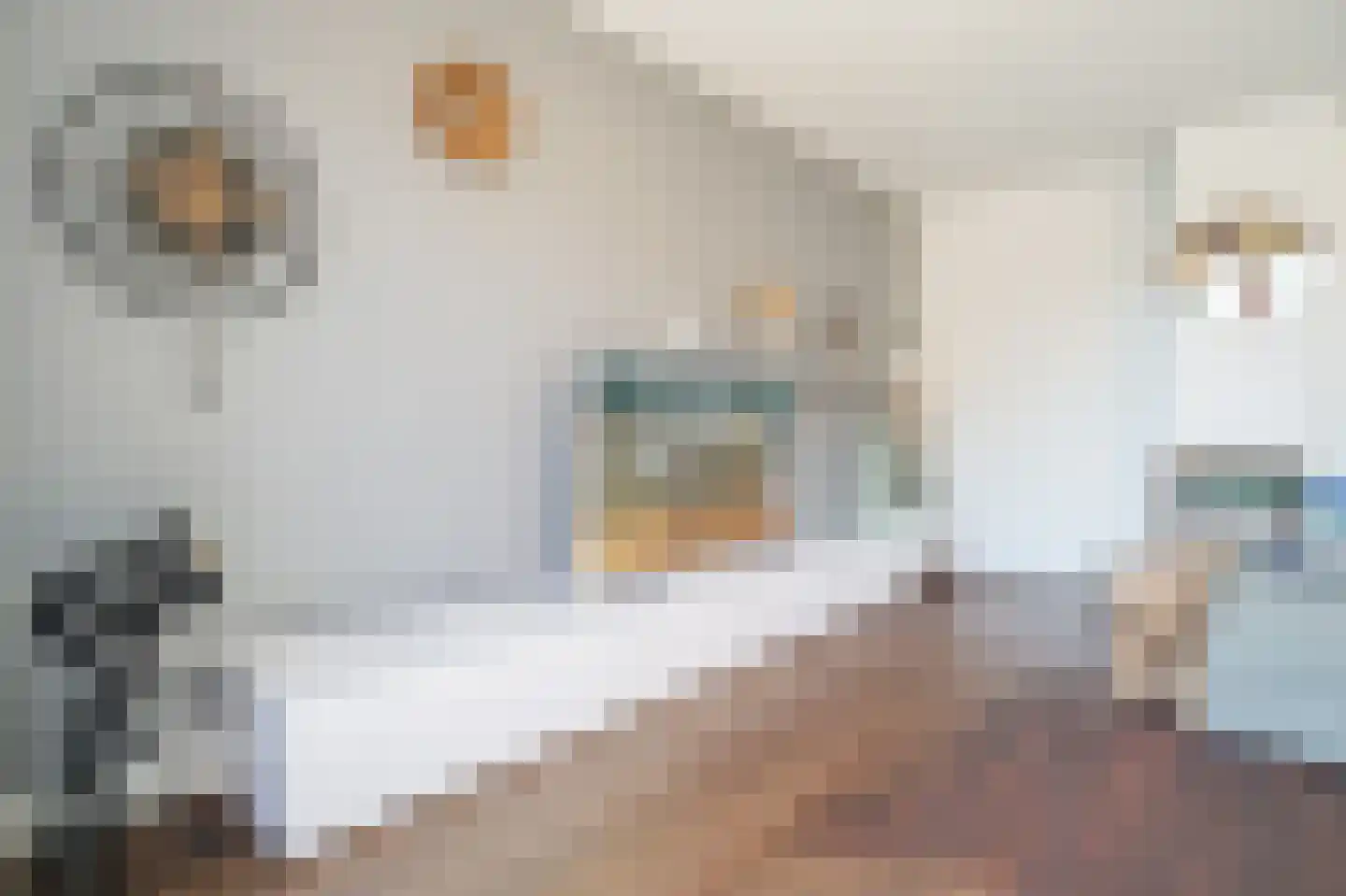 Vasalisstraat 22 Alkmaar thumbnail 9