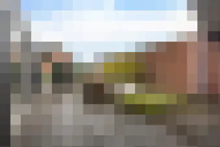Vasalisstraat 30 Alkmaar thumbnail 41