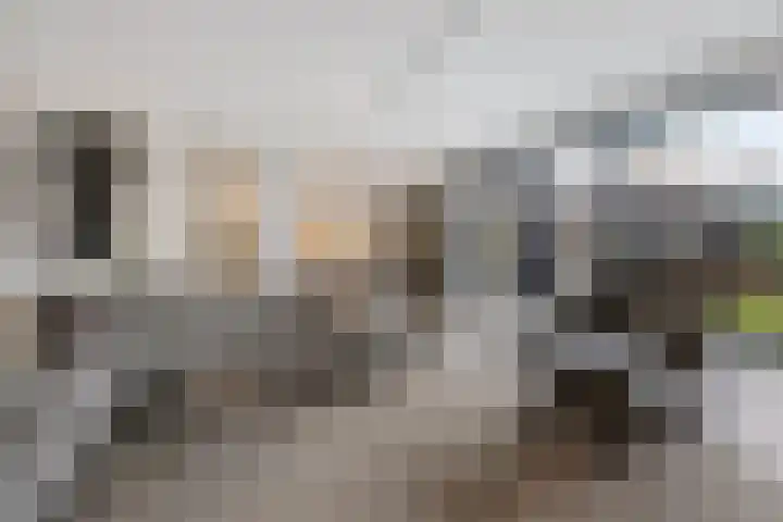Vasalisstraat 30 Alkmaar thumbnail 8