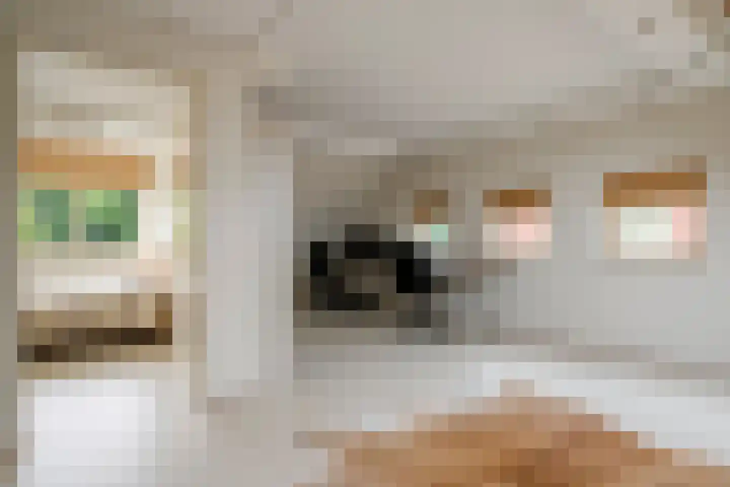 Vasalisstraat 34 Almere thumbnail 32