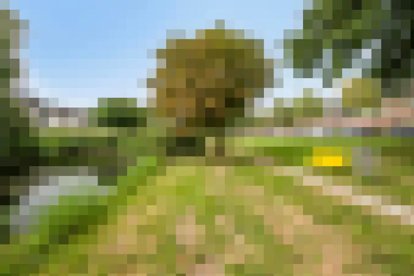Vasalisstraat 34 Almere thumbnail 37