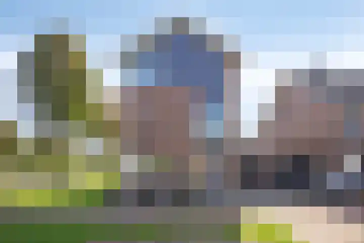 Vasalisstraat 44 Alkmaar thumbnail 4