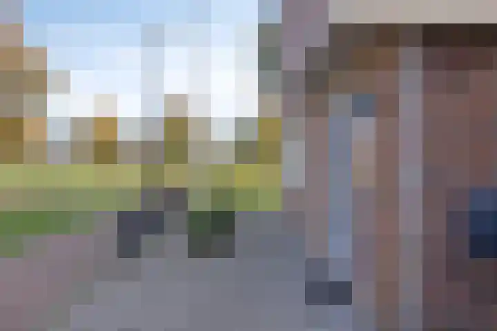 Vasalisstraat 44 Alkmaar thumbnail 47