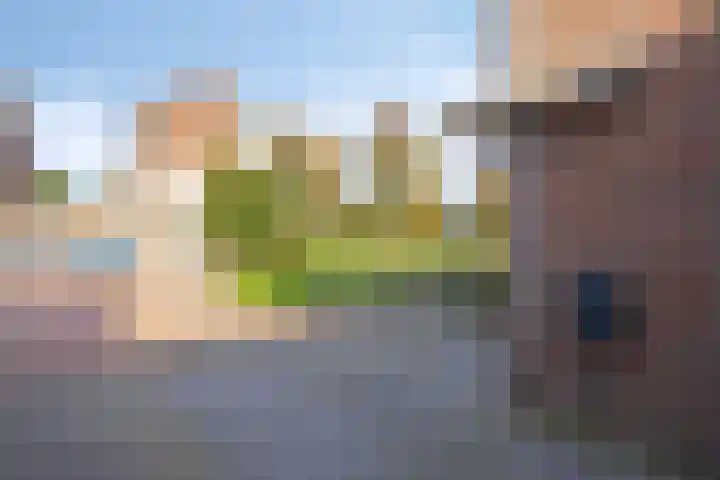 Vasalisstraat 44 Alkmaar thumbnail 48