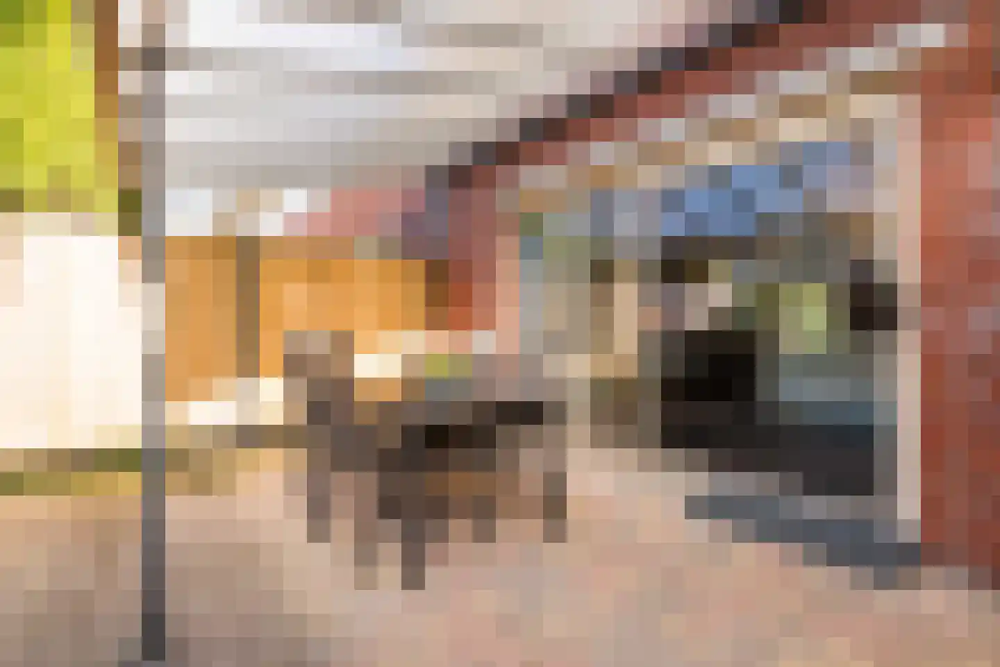 Vasalisstraat 44 Almere thumbnail 34