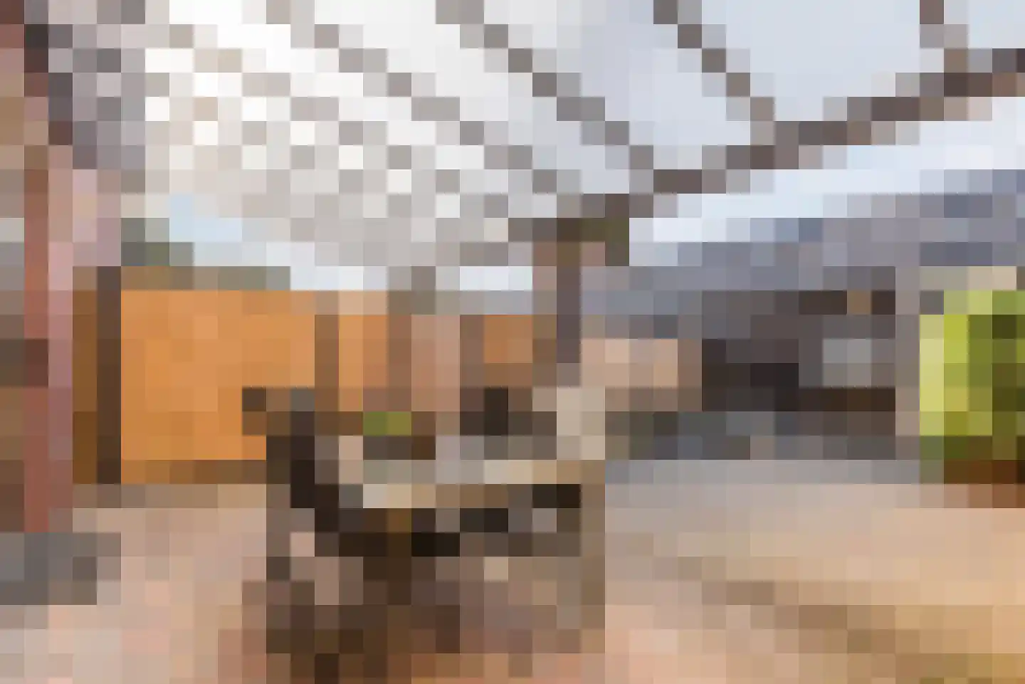 Vasalisstraat 44 Almere thumbnail 35