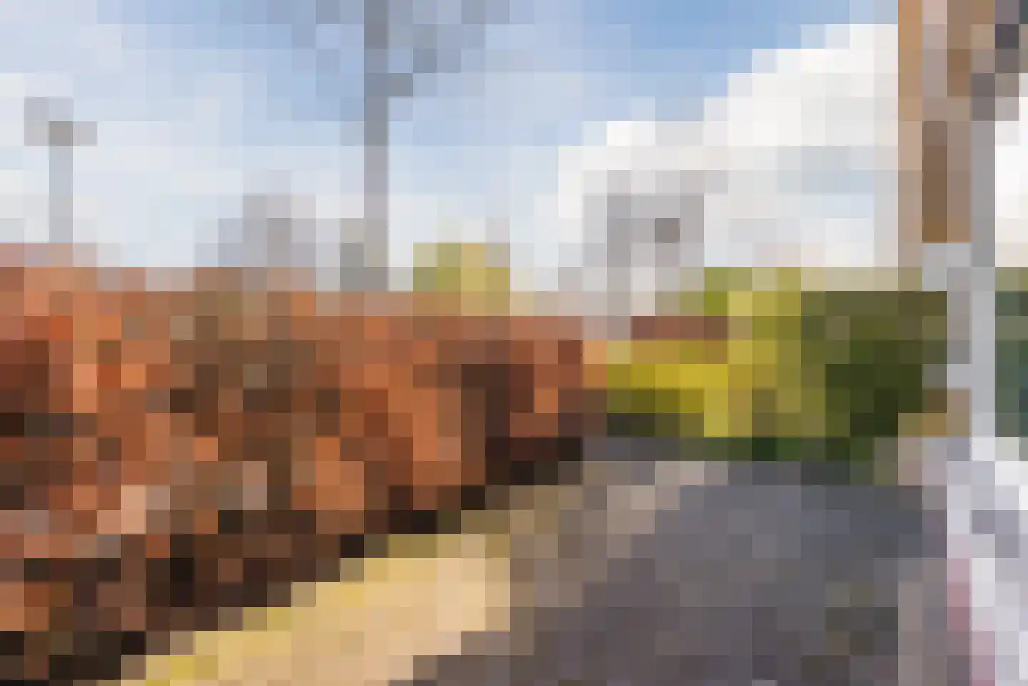 Vasalisstraat 44 Almere thumbnail 39