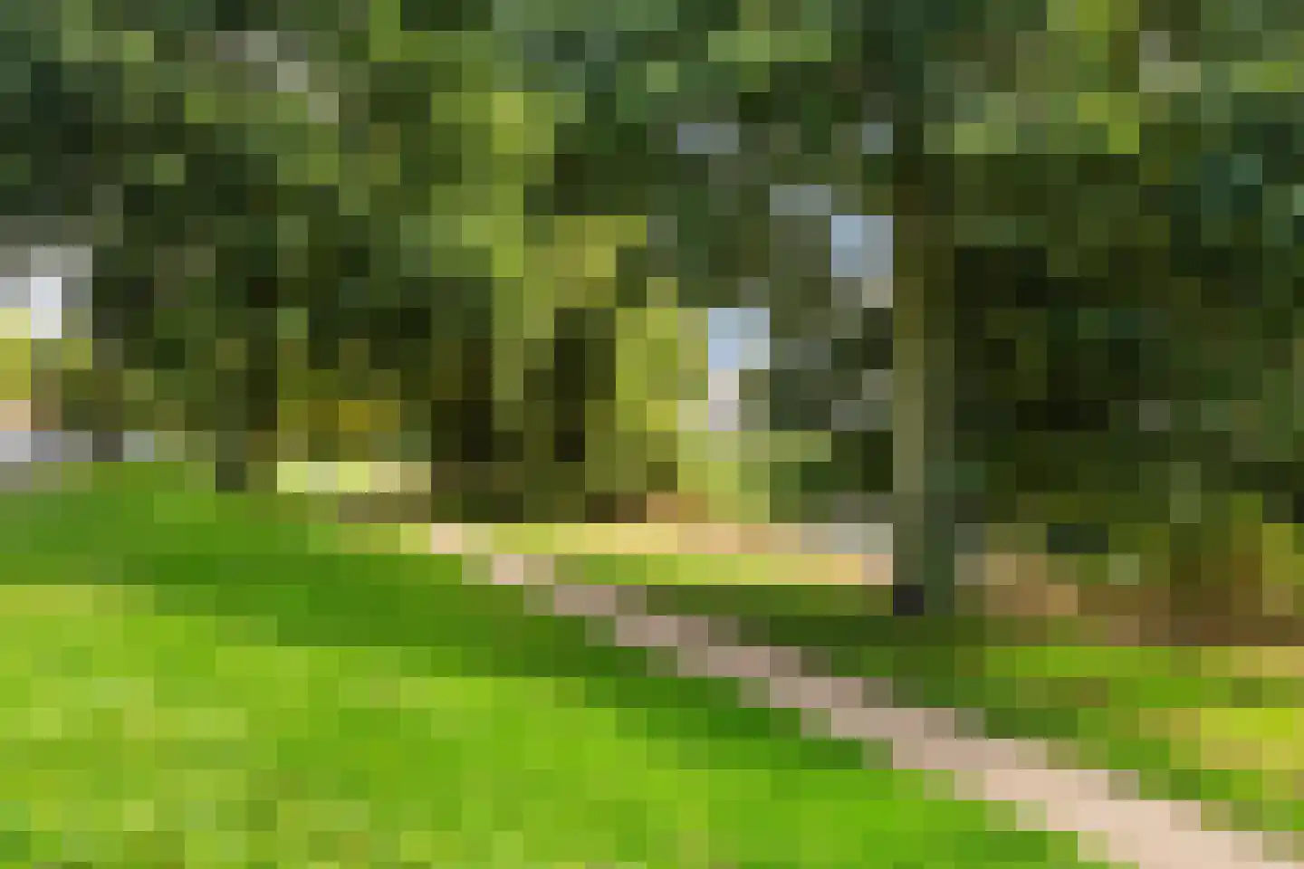 Vasalisstraat 44 Almere thumbnail 41