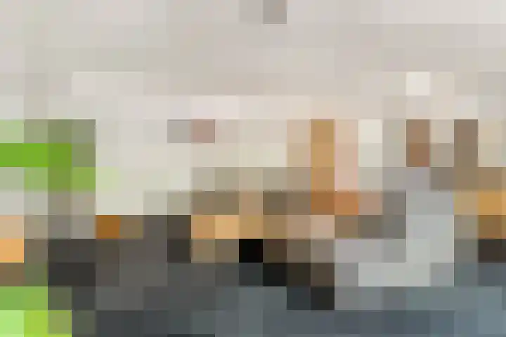 Vasalisstraat 5 Alkmaar thumbnail 15