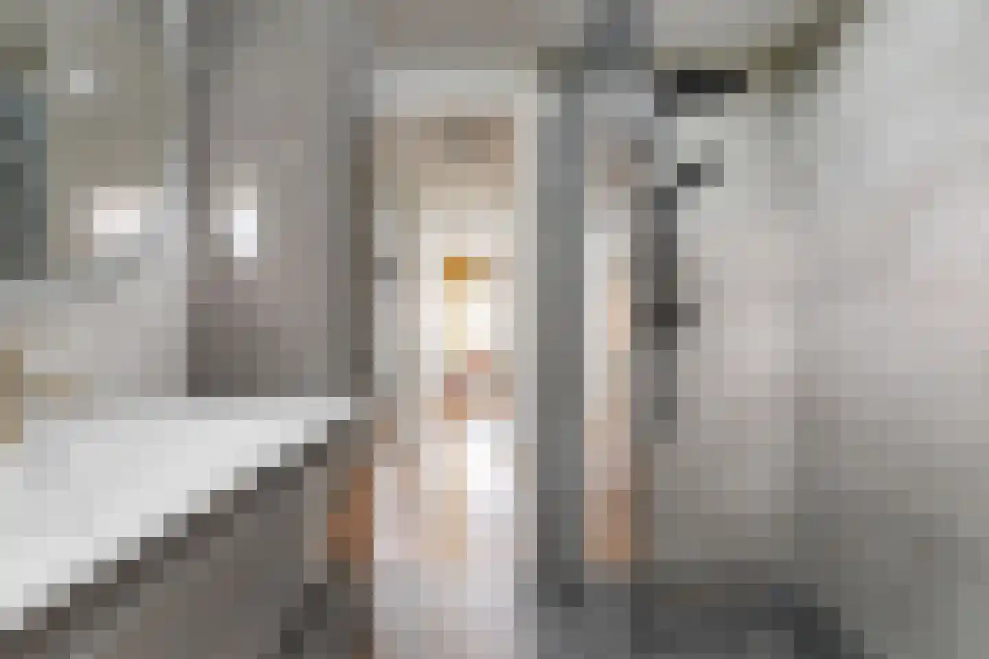 Vasalisstraat 80 Almere thumbnail 25