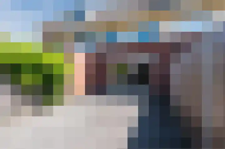 Vasalisstraat 82 Almere thumbnail 33