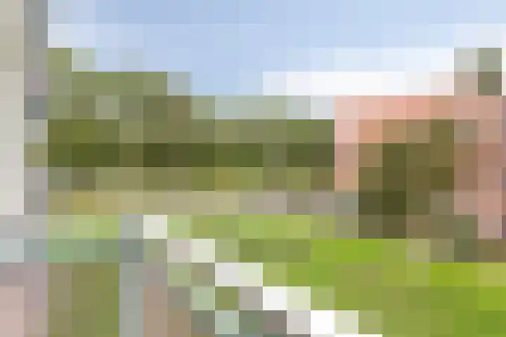 Vasaristraat 100 Rotterdam thumbnail 10