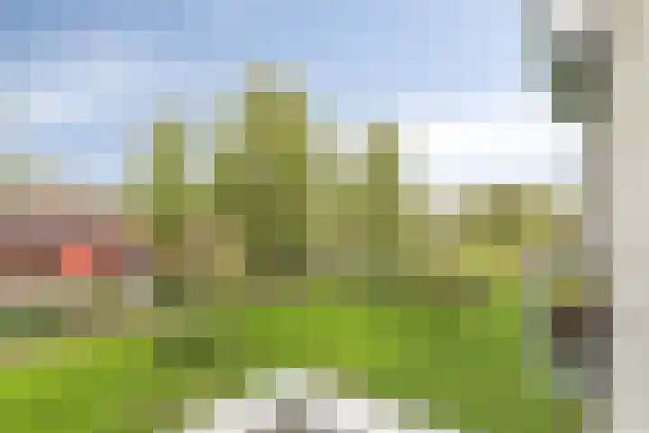 Vasaristraat 100 Rotterdam thumbnail 11