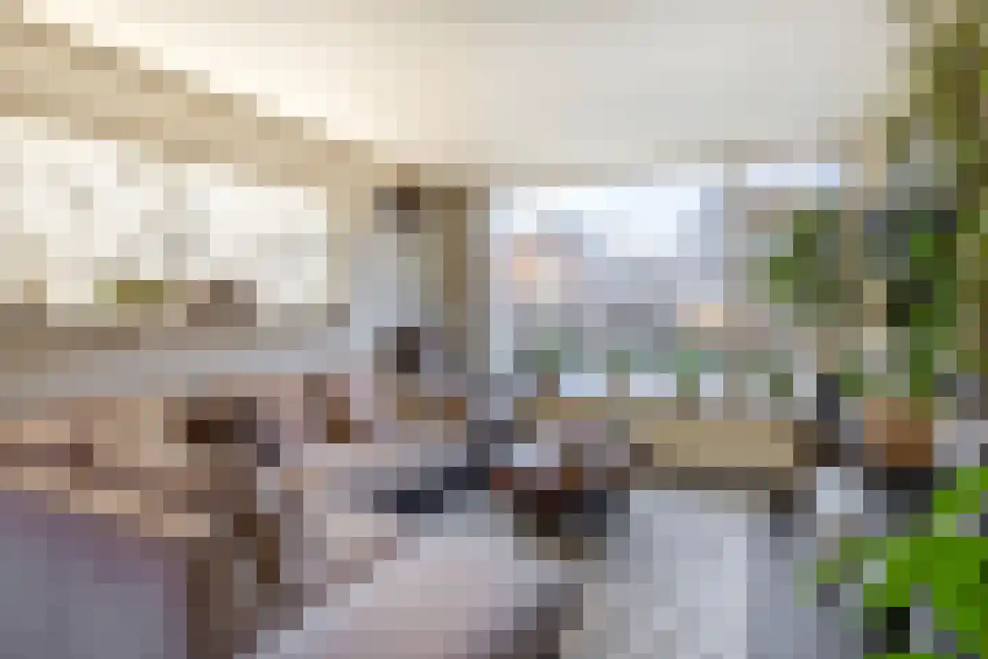 Vasaristraat 11 Rotterdam thumbnail 10