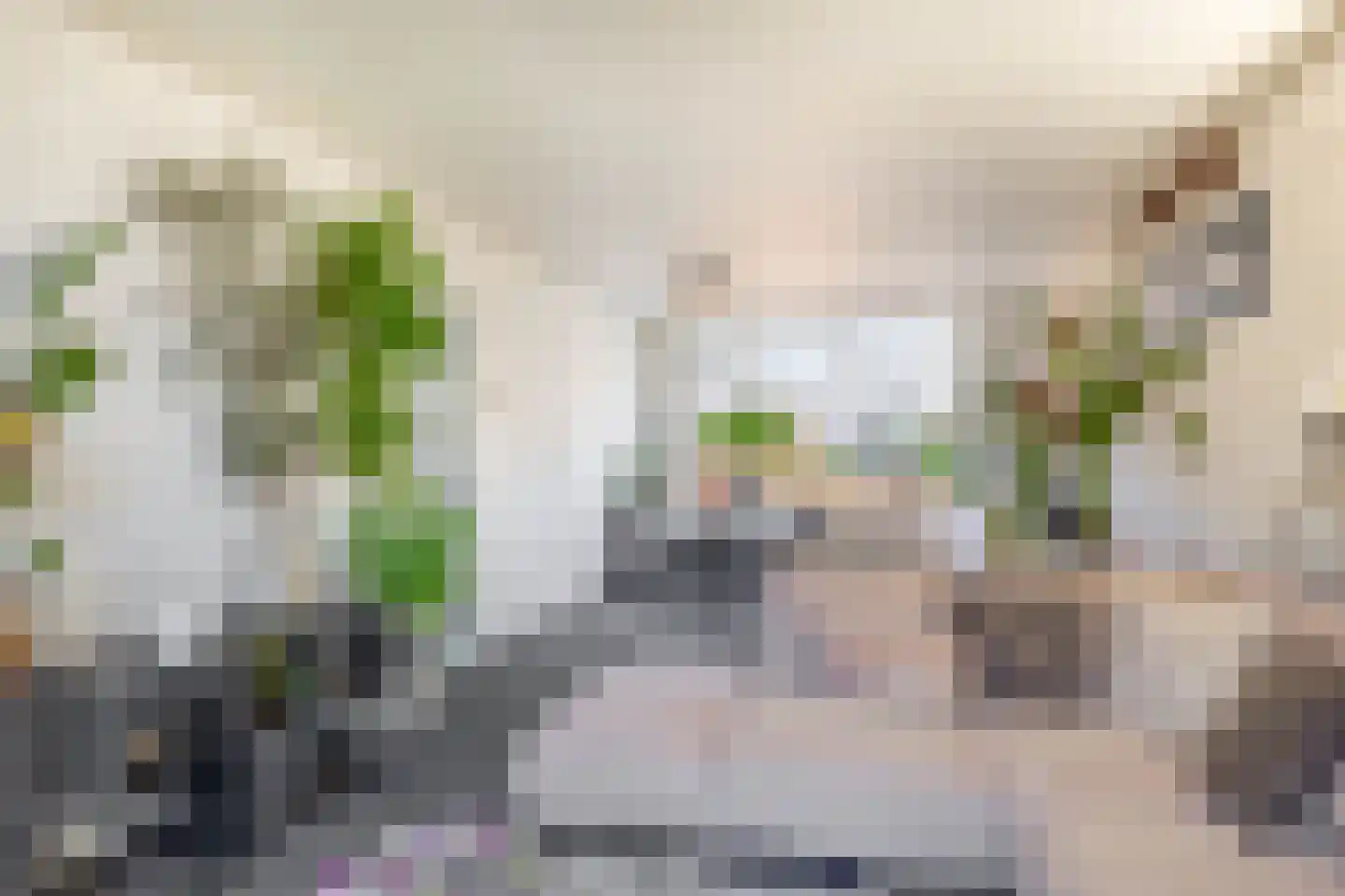 Vasaristraat 11 Rotterdam thumbnail 13
