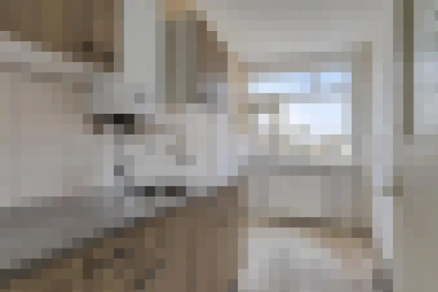 Vasaristraat 140 Rotterdam thumbnail 6