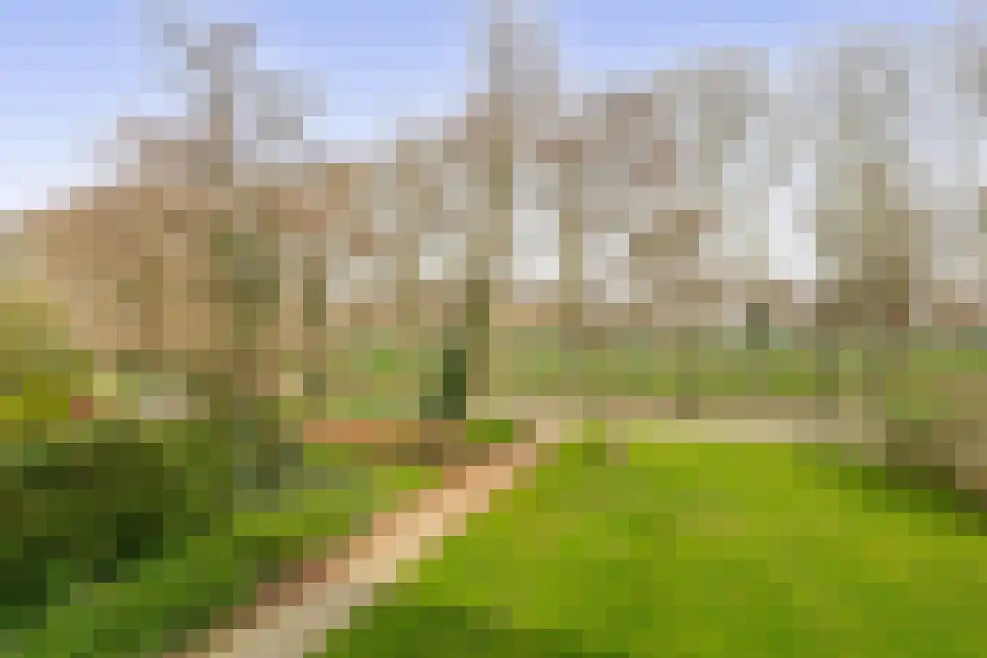 Vasaristraat 16 Rotterdam thumbnail 23