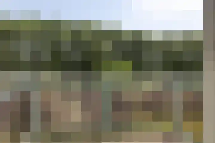 Vasaristraat 34 Rotterdam thumbnail 16