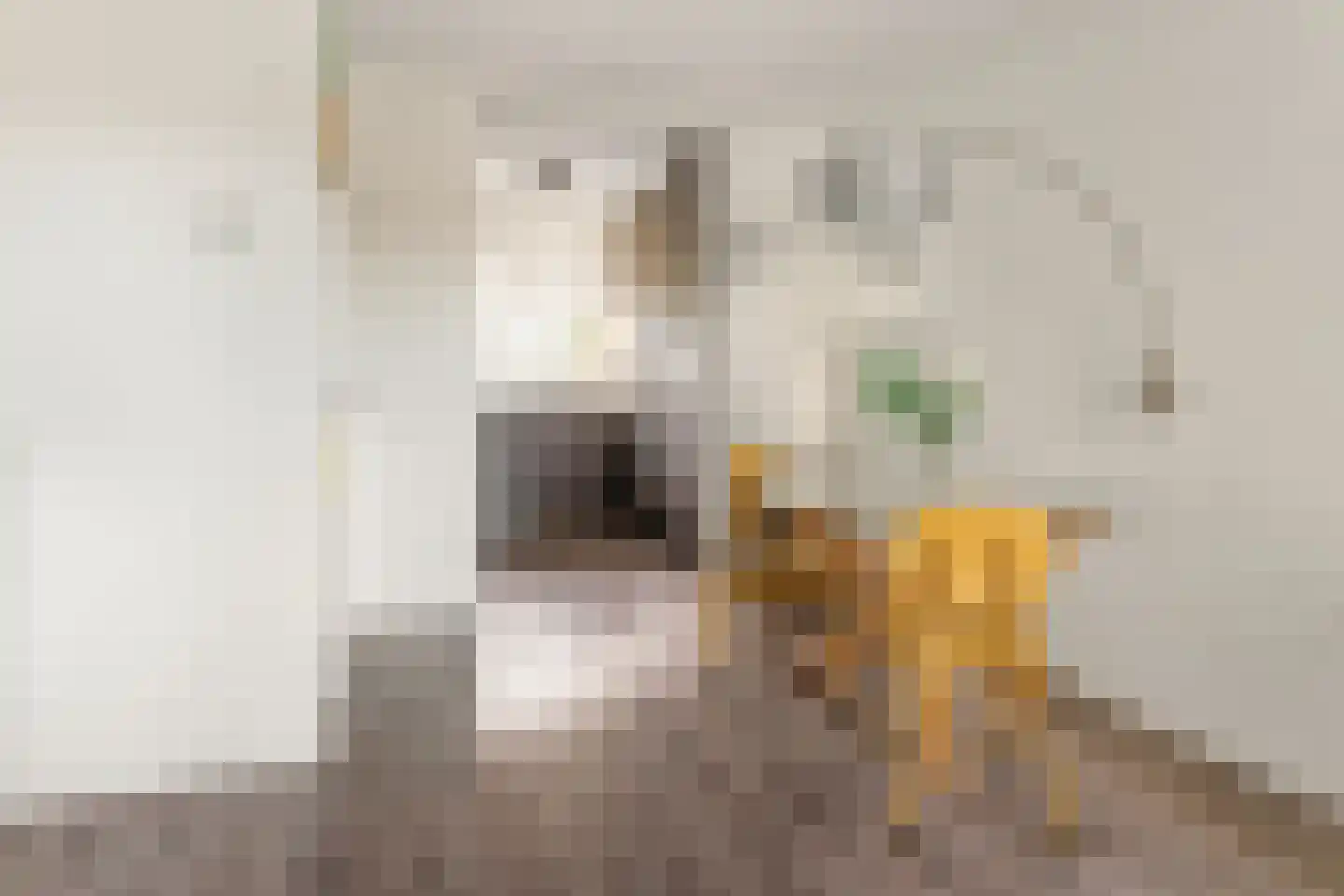 Vasco da Gamalaan 103 Utrecht thumbnail 15
