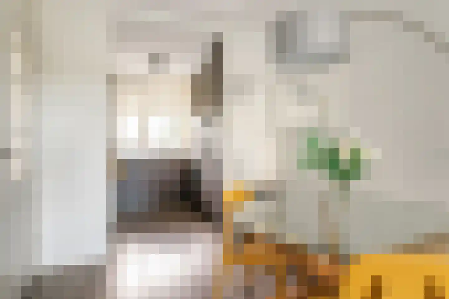 Vasco da Gamalaan 103 Utrecht thumbnail 16