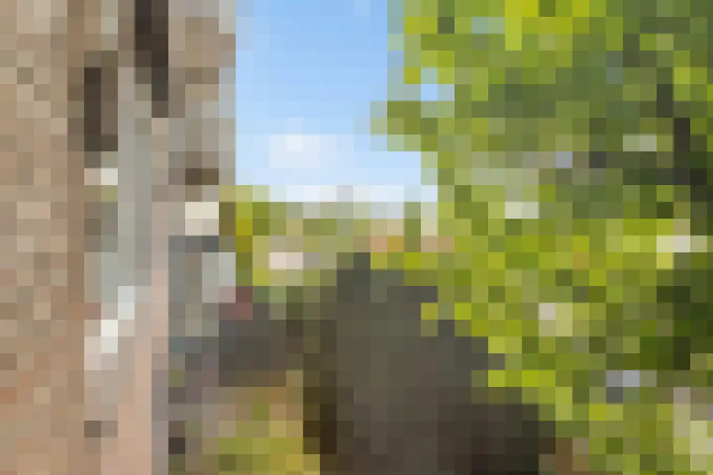 Vasco da Gamalaan 103 Utrecht thumbnail 26