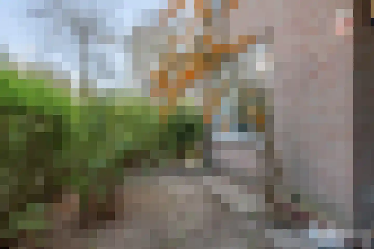 Vasco da Gamalaan 161 Utrecht thumbnail 29