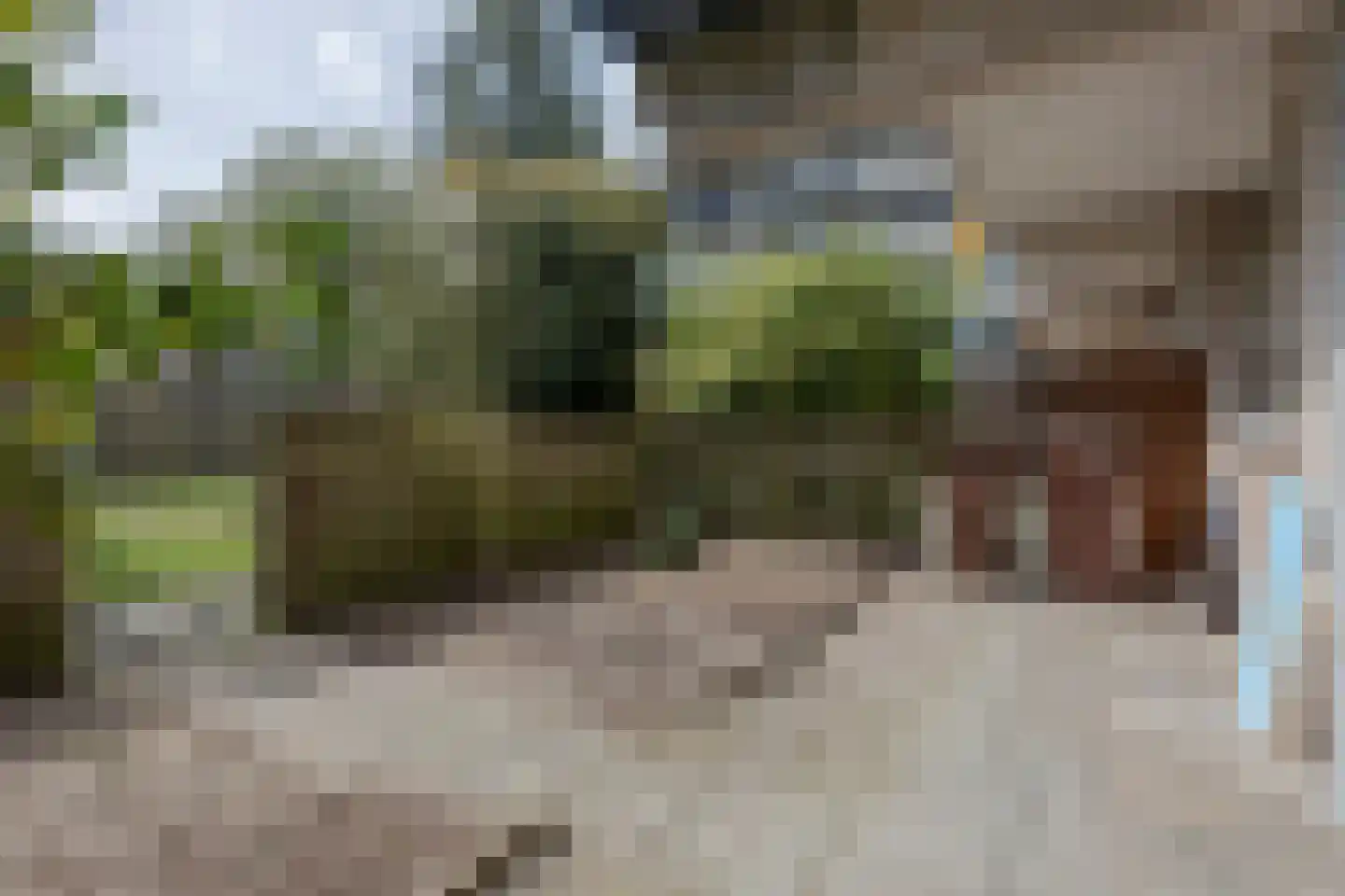 Vasco da Gamalaan 161 Utrecht thumbnail 7
